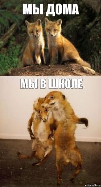 Мы дома Мы в школе