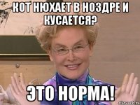 кот нюхает в ноздре и кусается? это норма!