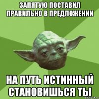 запятую поставил правильно в предложении на путь истинный становишься ты