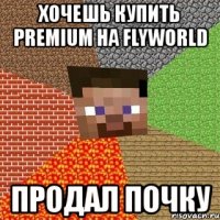 хочешь купить premium на flyworld продал почку