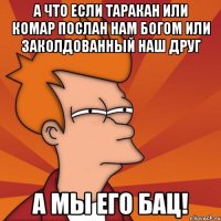 а что если таракан или комар послан нам богом или заколдованный наш друг а мы его бац!