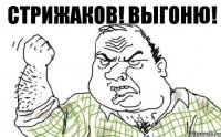 Стрижаков! Выгоню!