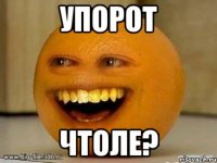 упорот чтоле?