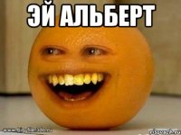 эй альберт 