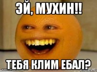 эй, мухин!! тебя клим ебал?