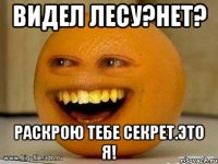 видел лесу?нет? раскрою тебе секрет.это я!