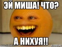 эй миша! что? а нихуя!!