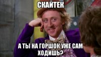 скайтек а ты на горшок уже сам ходишь?