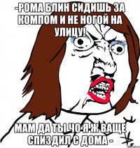 -рома блин сидишь за компом и не ногой на улицу! мам да ты чо я ж ваще спиздил с дома -