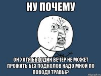 ну почему он хотя бы один вечер не может прожить без подколов надо мной по поводу травы?