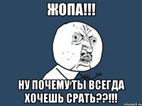 жопа!!! ну почему ты всегда хочешь срать??!!!