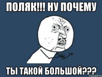 поляк!!! ну почему ты такой большой???