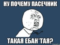 ну почему пасечник такая ебан*тая?