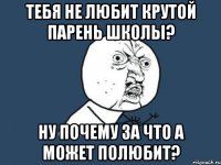 тебя не любит крутой парень школы? ну почему за что а может полюбит?