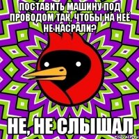 поставить машину под проводом так, чтобы на неё не насрали? не, не слышал