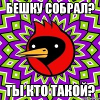 бешку собрал? ты кто такой?