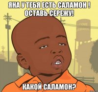 яна у тебя есть саламон ! оставь сережу! какой саламон?