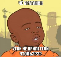 чё братан!!! утки не прилетели чтоль???