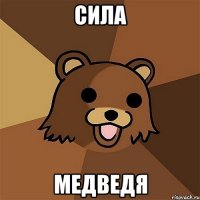 сила медведя