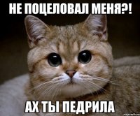 не поцеловал меня?! ах ты педрила