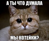 а ты что думала мы котейки?