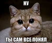 ну ты сам все понял