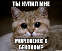 ты купил мне мороженое с беконом?