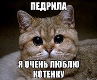 педрила я очень люблю котенку