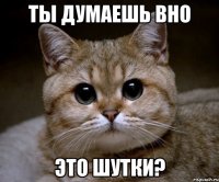 ты думаешь вно это шутки?