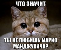 что значит ты не любишь марио манджукича?