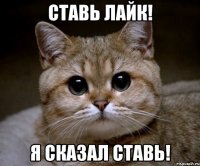 ставь лайк! я сказал ставь!