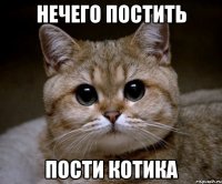 нечего постить пости котика