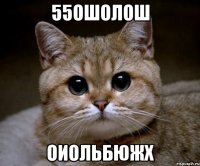 55ошолош оиольбюжх