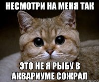 несмотри на меня так это не я рыбу в аквариуме сожрал