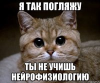 я так погляжу ты не учишь нейрофизиологию