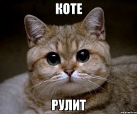 коте рулит