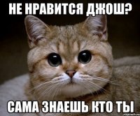 не нравится джош? сама знаешь кто ты