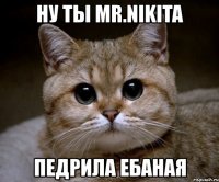 ну ты mr.nikita педрила ебаная