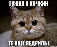 гужва и кочкин те ищё педрилы