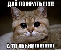 дай пожрать!!! а то убью!!!