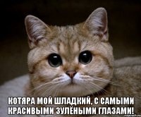  котяра мой шладкий, с самыми красивыми зулёными глазами!