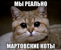 мы реально мартовские коты