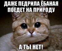 даже педрила ёбаная поедет на природу а ты нет!