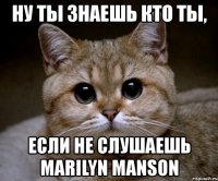 ну ты знаешь кто ты, если не слушаешь marilyn manson