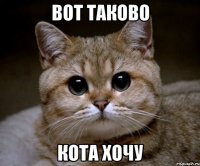 вот таково кота хочу