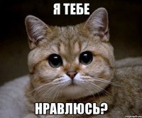 я тебе нравлюсь?