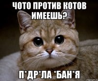 чото против котов имеешь? п*др*ла *бан*я