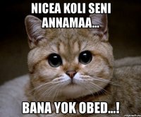 nicea koli seni annamaa... bana yok obed...!