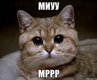 миуу мррр