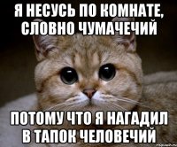 я несусь по комнате, словно чумачечий потому что я нагадил в тапок человечий